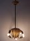 Lámpara colgante o lámpara Sputnik con ocho brazos, años 50, Imagen 9