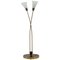 Mid-Century Floor Lamp, Czechoslovakia, 1960s 1