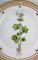 Assiette Royal Copenhagen Flora Danica en Porcelaine Peinte à la Main avec Fleurs 2