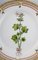 Royal Copenhagen Flora Danica Side Plate in Hand-Painted Porcelain with Flowers 2