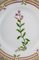 Royal Copenhagen Flora Danica Side Plate in Hand-Painted Porcelain with Flowers, Image 2