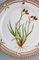 Assiette Royal Copenhagen Flora Danica en Porcelaine Peinte à la Main avec Fleurs 2