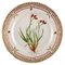 Assiette Royal Copenhagen Flora Danica en Porcelaine Peinte à la Main avec Fleurs 1