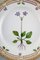 Assiette à Salade Flora Danica Royal Copenhagen en Porcelaine Peinte à la Main avec Fleurs 2
