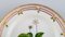 Royal Copenhagen Flora Danica Salad Plate in Hand-Painted Porcelain with Flowers 3