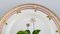 Royal Flora Flora Danica Salatteller aus handbemaltem Porzellan mit Blumenmotiv 3
