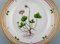 Assiette à Salade Flora Danica Royal Copenhagen en Porcelaine Peinte à la Main avec Fleurs 2