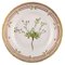Royal Flora Flora Danica Salatteller aus handbemaltem Porzellan mit Blumenmotiv 1