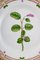 Royal Copenhagen Flora Danica Salad Plate in Hand-Painted Porcelain with Flowers, Image 2