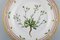 Royal Copenhagen Flora Danica Salad Plate in Hand-Painted Porcelain with Flowers 2