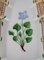 Plat Royal Copenhagen Flora Danica avec Poignée en Porcelaine Peinte à la Main 3