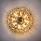 Large Flush Mount Light Fixture in Glass & Brass Nickel from Doria, 1960s 8