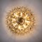 Large Flush Mount Light Fixture in Glass & Brass Nickel from Doria, 1960s, Image 8