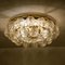 Large Flush Mount Light Fixture in Glass & Brass Nickel from Doria, 1960s 5