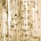 Lampade da parete in ottone e vetro di Doria, anni '60, set di 2, Immagine 8