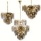 Smoked Glass and Brass Chandelier in the Style of Vistosi, Italy, 1970, Image 12