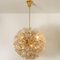 Brass & Gold Murano Glass Sputnik Light Fixtures by Paolo Venini for Veart, Set of 2 12