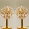 Brass & Gold Murano Glass Sputnik Light Fixtures by Paolo Venini for Veart, Set of 2 9