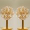 Brass & Gold Murano Glass Sputnik Light Fixtures by Paolo Venini for Veart, Set of 2, Image 9