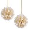 Brass & Gold Murano Glass Sputnik Light Fixtures by Paolo Venini for Veart, Set of 2 3