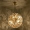 Brass & Gold Murano Glass Sputnik Light Fixtures by Paolo Venini for Veart, Set of 2 17