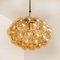 Amber Bubble Glass Pendant Light Fixtures by Helena Tynell, 1960, Set of 6, Image 13