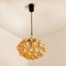 Amber Bubble Glass Pendant Light Fixtures by Helena Tynell, 1960, Set of 6 12