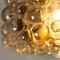 Applique a bolle in vetro ambrato di Helena Tynell per Limburg, anni '60, set di 2, Immagine 11