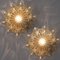 Amber Glass Wall Lights Sconces by Helena Tynell for Glashütte Limburg, Set of 2 7