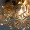 Amber Glass Wall Lights Sconces by Helena Tynell for Glashütte Limburg, Set of 2, Image 18