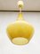 Mid-Century Teardrop Counterpart Ceiling Light by Jacob Bang for Holmegaard 3