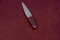 Paperknife with Leather Handle by Carl Auböck, 2000s, Image 6