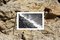 Stampa Giclée extra large in edizione limitata di Pebble Beach, Regno Unito, Immagine 7