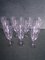 Crystal Champagne Flutes from Schott Zwiesel, 1950s, Set of 12 3