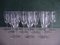 Crystal Champagne Flutes from Schott Zwiesel, 1950s, Set of 12 1