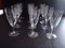 Crystal Champagne Flutes from Schott Zwiesel, 1950s, Set of 12 22