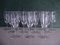 Copas de champán de cristal de Schott Zwiesel, años 50. Juego de 12, Imagen 9
