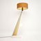 Vintage Acrylic Glass Moss Floor Lamp, 1954 3