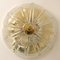 Wall Light Flush Mount with Tulip-Shape from Limburg, 1970s, Image 13