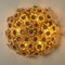 Apliques florales dorados de cristal de Palwa, años 60. Juego de 4, Imagen 6
