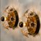 Gold-Plated Flower Crystal Light Fixtures by Palwa, 1960s, Set of 4 10