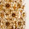 Apliques florales dorados de cristal de Palwa, años 60. Juego de 4, Imagen 5