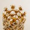 Apliques florales dorados de cristal de Palwa, años 60. Juego de 4, Imagen 18