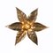 Brass Flower Wall Light in the Style of Willy Daro, 1970s 14