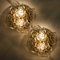 Mid-Century Brass Floral Wall Lights from Hillebrand, 1970s, Set of 2 12
