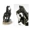 The Horses of Marly de bronce de Coustou. Juego de 2, Imagen 5