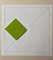 Gottfried Honegger Composition 1 3D square (green) 2015 2020 1