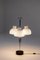 Arenzano Table Lamp by Ignazio Gardella for Azucena 2