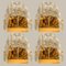 Lampada da parete Palazzo in ottone dorato e vetro di Kalmar, Immagine 17