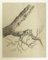 Unknown, Tree, Pencil Drawing, Frühes 20. Jahrhundert 1